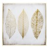 Tablou canvas Feather, 58x58 cm, 166941