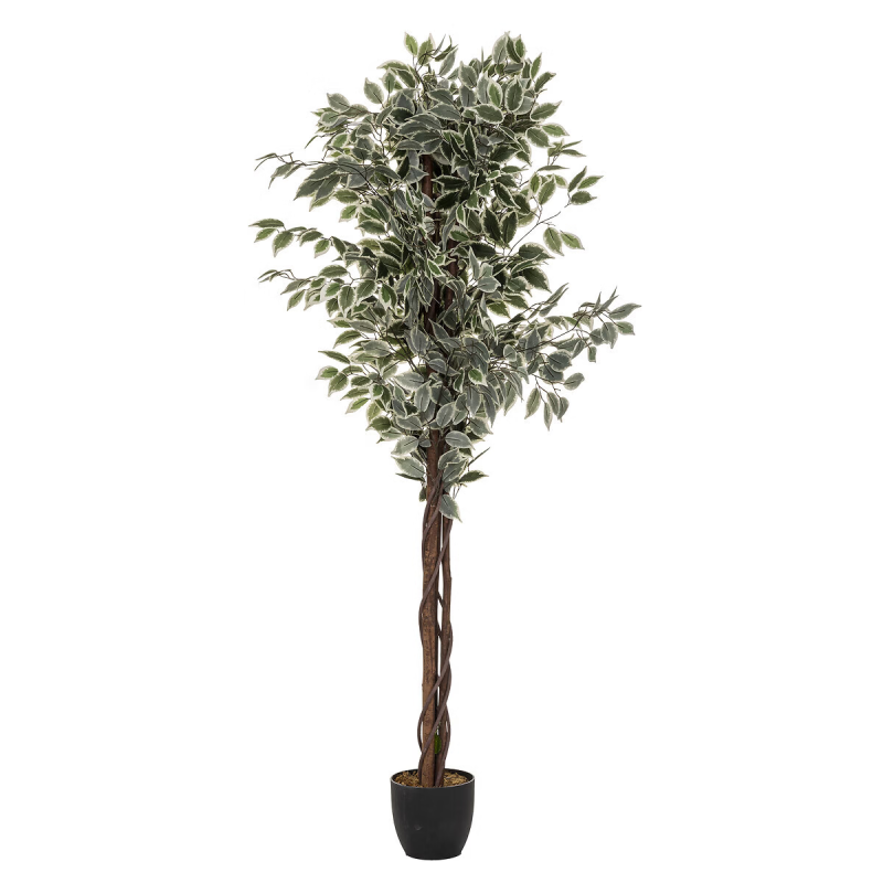 Ficus artificial Artifices, H.180 cm, 110341A