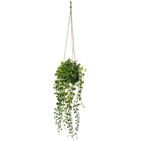 Plantă artificială suspendată Living, H.10 cm, 164285