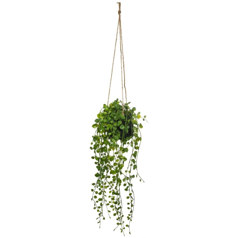 Plantă artificială suspendată Living, H.10 cm, 164285