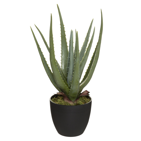 Aloe vera artificiala H 44 cm, 173017