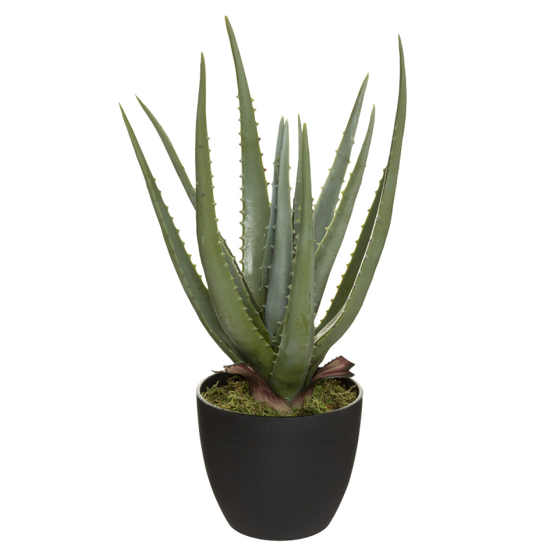 Aloe vera artificiala H 44 cm, 173017