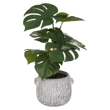 Monstera artificiala, ghiveci ciment, H.35 cm, 185458