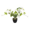 Bougainvillea artificială, H.76 cm, 168612