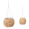 Set 2 ghivece suspendate Hya, zambila de apa, D.20/26 cm, 168553