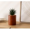 Planta artificiala Joy, ghiveci ceramic maro, H.20 cm, 196732D