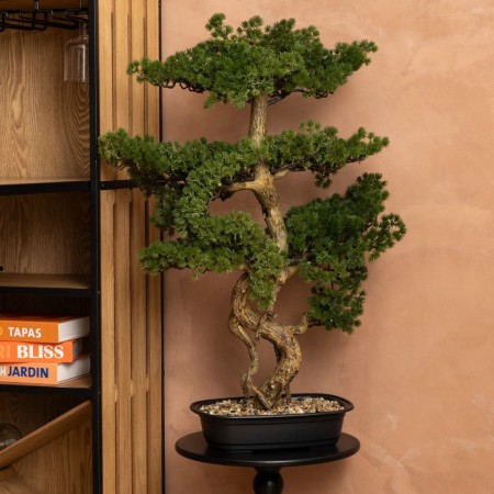 Bonsai artificial Polin, ghiveci ceramic, H.86 cm, 206547