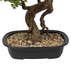 Bonsai artificial Polin, ghiveci ceramic, H.86 cm, 206547