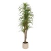 Dracaena artificial, H.180 cm, 218965