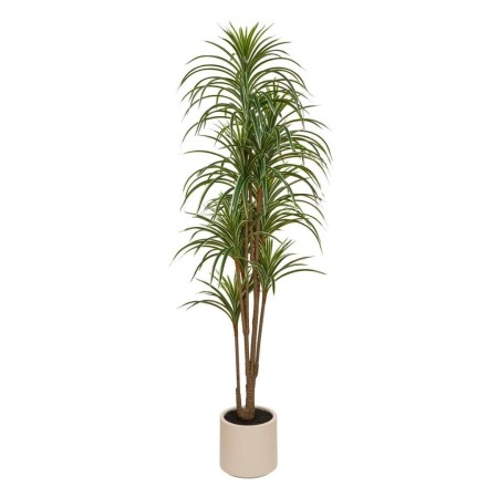 Dracaena artificial, H.180 cm, 218965 