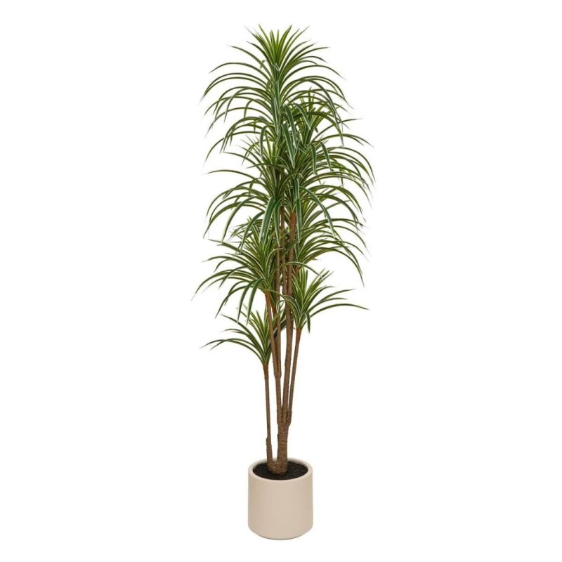 Dracaena artificial, H.180 cm, 218965