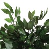 Ficus artificial, H.120 cm, 116275