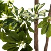 Schefflera artificial, ghiveci polietilena, H.130 cm, 179268