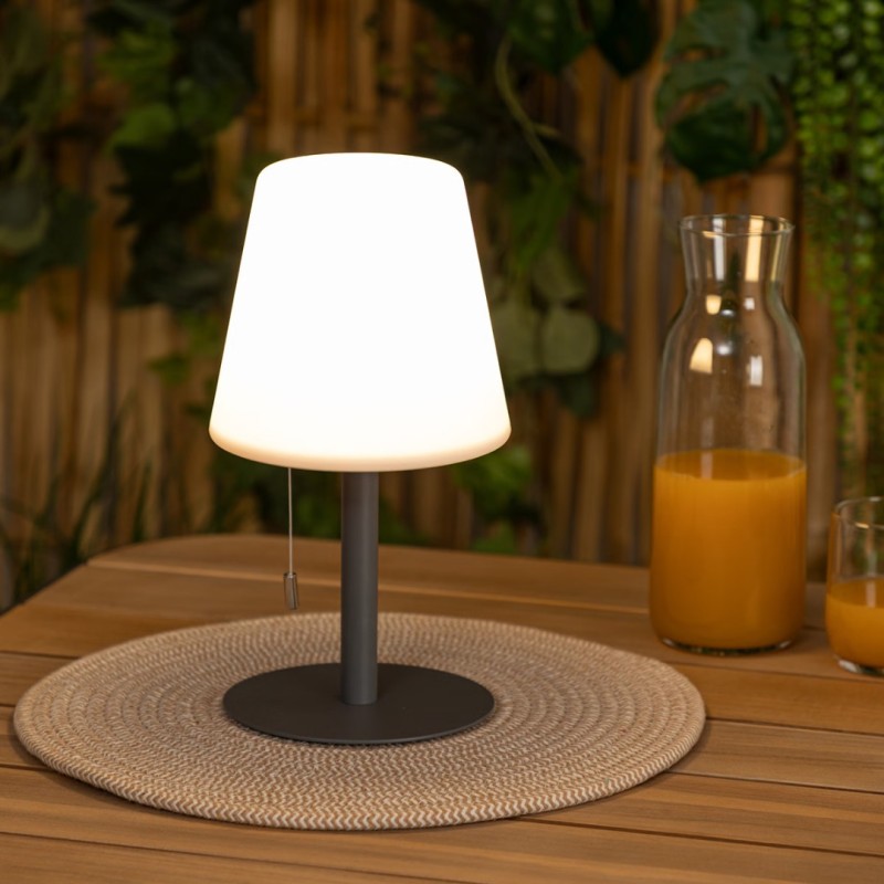 Veioza exterior Zack, metal, polipropilena, gri inchis, reincarcabil, LED, H.30 cm, 202608