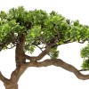 Bonsai artificial, ghiveci ceramica, H.60 cm, 206548