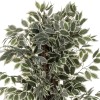 Ficus artificial Artifices, H.180 cm, 110341A