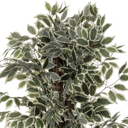 Ficus artificial Artifices, H.180 cm, 110341A