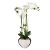 Orhidee artificiala, vaza ceramica argintie, H.53 cm, 136510D