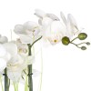 Orhidee artificiala, vaza ceramica argintie, H.53 cm, 136510D