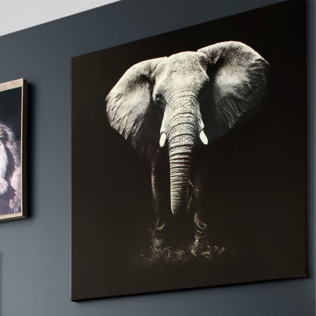 Tablou canvas Animaux, 100x100 cm, 158209