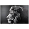 Tablou canvas Animaux, 78x118 cm, 158210