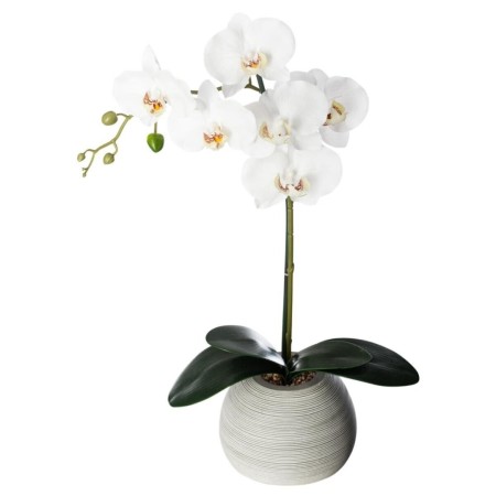 Orhidee artificiala, vaza ciment, H.53 cm, 160018