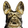 Statuie Bulldog, ceramică, auriu, H.19 cm, 168329