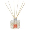 Difuzor de parfum Neda, forest fruits, 200 ml, 172770O