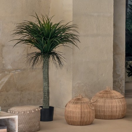 Yucca artificială Tropical, H.150 cm, 185479