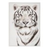 Tablou canvas Animaux, 50x70 cm, 193238