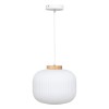 Suspensie Travis, metal, sticla, alba, 1XE27, D.25 cm, 202693