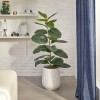 Ficus artificial Sky, ghiveci ceramica, H.145 cm, 210133