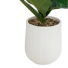 Ficus artificial Sky, ghiveci ceramica, H.145 cm, 210133