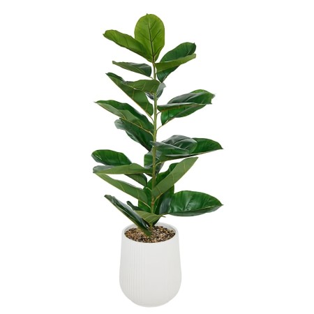 Ficus artificial Sky, ghiveci ceramica, H.145 cm, 210133