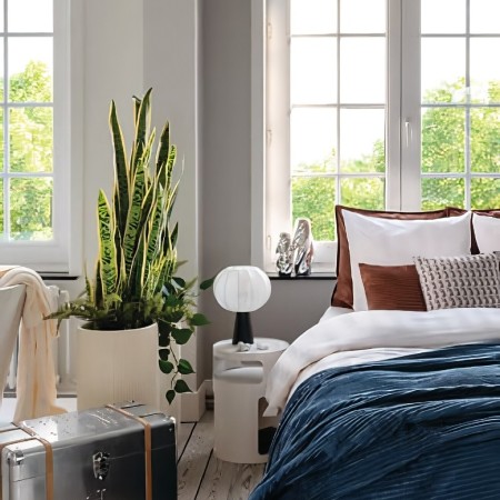 Sansevieria artificiala Sky, ghiveci ceramica, H.163 cm, 210135