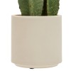 Cactus artificial Sien, ghiveci plastic, H.132 cm, 214009
