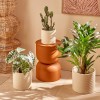 Set 3 ghivece Elly, ceramica, albe, D.25 cm, 214091