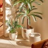 Set 3 ghivece Sien, ceramica, albe, D.47 cm, 214099