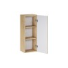 Semicoloana Terra Cremona, MDF, PAL melaminat, stejar cremona, 1 usa, H.80 cm, TERRA CREMONA 81-30-1D