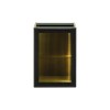Dulap lateral cu iluminare LED Sombra Green, PAL melaminat, verde olive, 1 usa, L.40 cm, SOMBRA GREEN 81-40-1DG