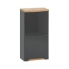 Dulap suspendat Bali Grafit, MDF, PAL melaminat, gri, 1 usa, L.35 cm, BALI GRAFIT 830 FSC