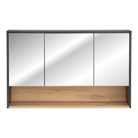 Dulap cu oglinda Borneo Cosmos, MDF, Pal melaminat, gri cosmos, L.120 cm, BORNEO COSMOS 843 FSC