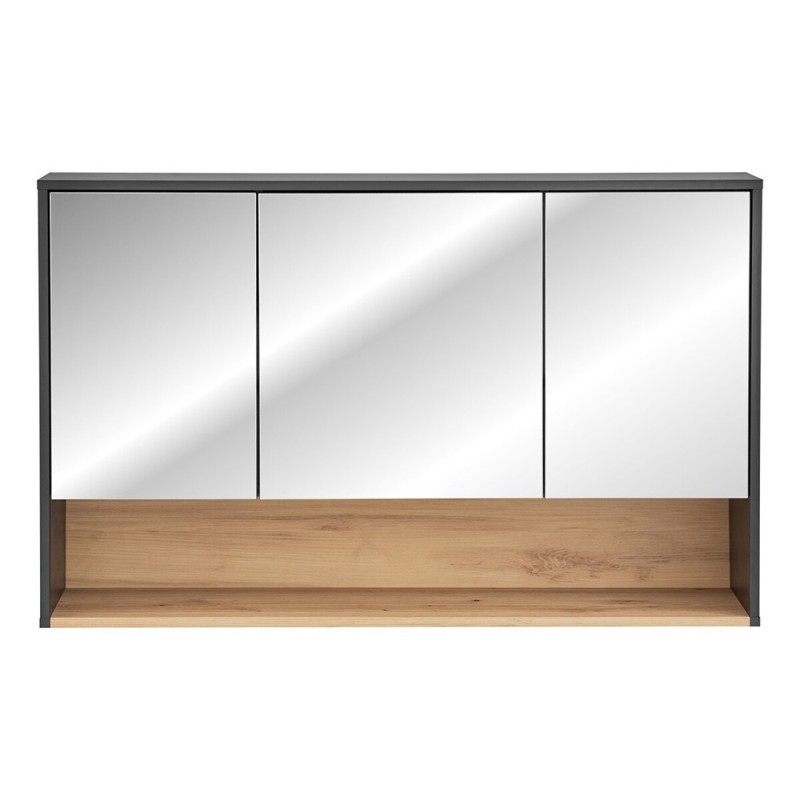 Dulap cu oglinda Borneo Cosmos, MDF, Pal melaminat, gri cosmos, L.120 cm, BORNEO COSMOS 843 FSC