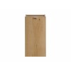 Dulap lateral Nova Oak, PAL melaminat, stejar evoke, 1 usa, L.30 cm, NOVA OAK A 81-30-1D(W81-02A)