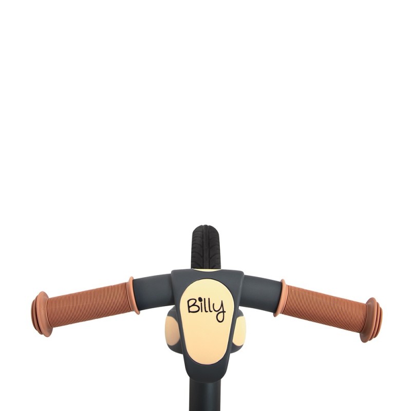 Bicicleta pliabila pentru copii Camini, metal, plastic, gri, L.89 cm, BLBK000002-GY