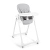 Scaun reglabil pentru bebelusi Alto, plastic, gri, H.111 cm, BNBK000005-GY