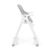 Scaun reglabil pentru bebelusi Alto, plastic, gri, H.111 cm, BNBK000005-GY