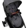 Carucior 3 in 1 Adria, metal, plastic, polester, gri, L.63 cm, BNBK000042-GY