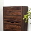 Dulap pentru pantofi Prato, MDF, maro inchis, H.119 cm, MILD000037-DBR